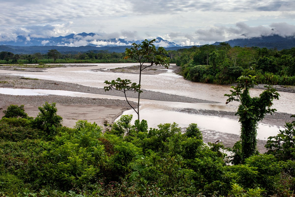 A view of Cofan land in Ecuador’s Cayambe Coca national park, near Sinangoe, Ecuador, on April 22, 2022. Thomson Reuters Foundation/Fabio Cuttica