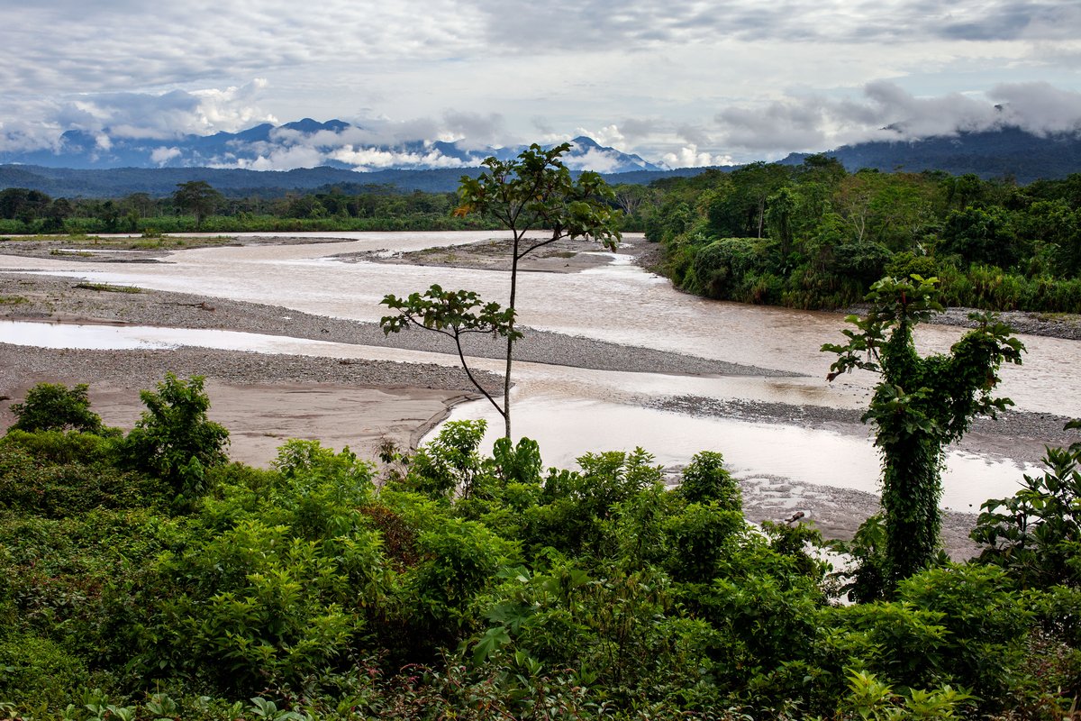 A view of Cofan land in Ecuador’s Cayambe Coca national park, near Sinangoe, Ecuador, on April 22, 2022. Thomson Reuters Foundation/Fabio Cuttica